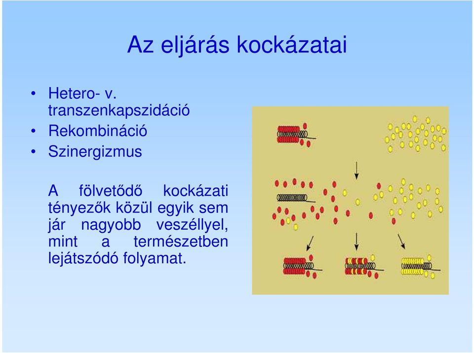 fölvetődő kockázati tényezők közül egyik sem