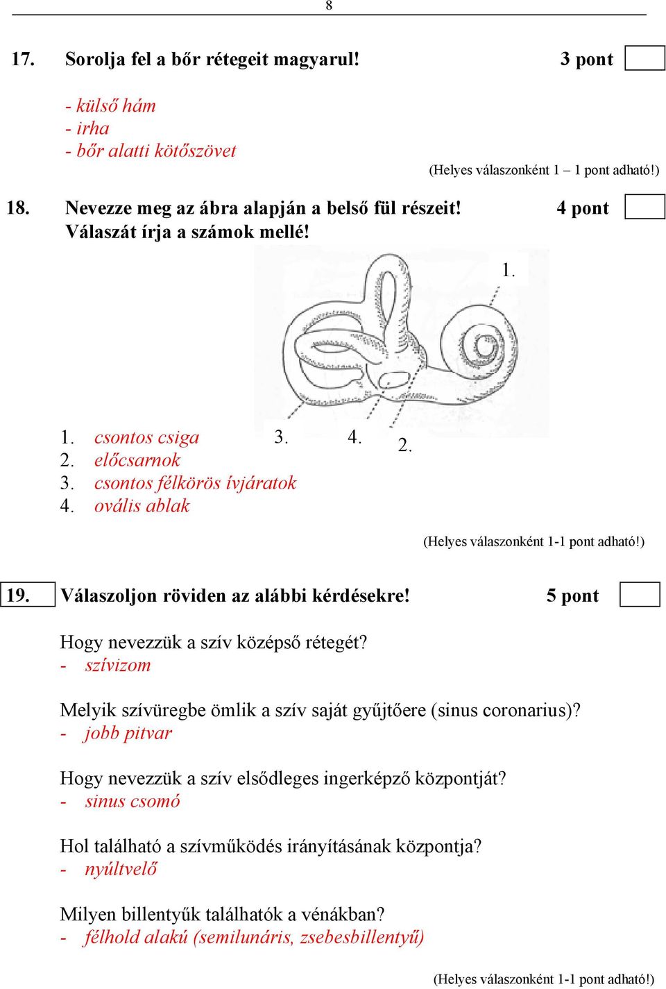 Válaszoljon röviden az alábbi kérdésekre! 5 pont Hogy nevezzük a szív középső rétegét? - szívizom Melyik szívüregbe ömlik a szív saját gyűjtőere (sinus coronarius)?