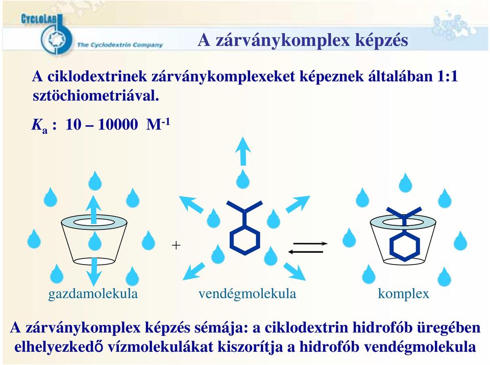 K a : 10 10000 M -1 A zárványkomplex képzés + gazdamolekula