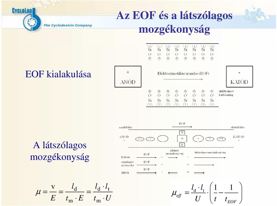 látszólagos mozgékonyság v ld ld