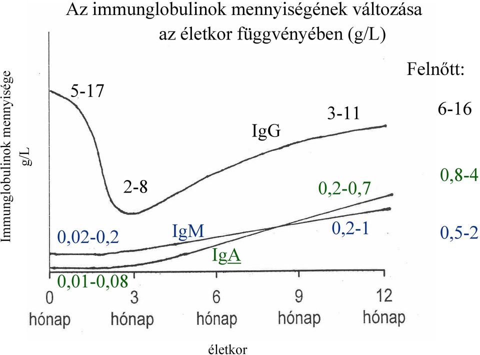 mennyisége g/l 5-17 2-8 0,02-0,2 0,01-0,08 IgM