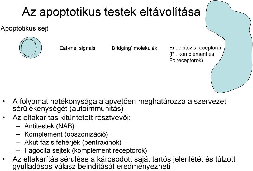 eltakarítás kitüntetett résztvevői: Antitestek (NAB) Komplement (opszonizáció) Akut-fázis fehérjék (pentraxinok) Fagocita