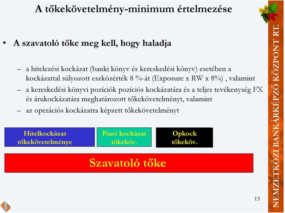 pozíciók pozíciós kockázatára és a teljes tevékenység FX és árukockázatára meghatározott tőkekövetelményt, valamint az