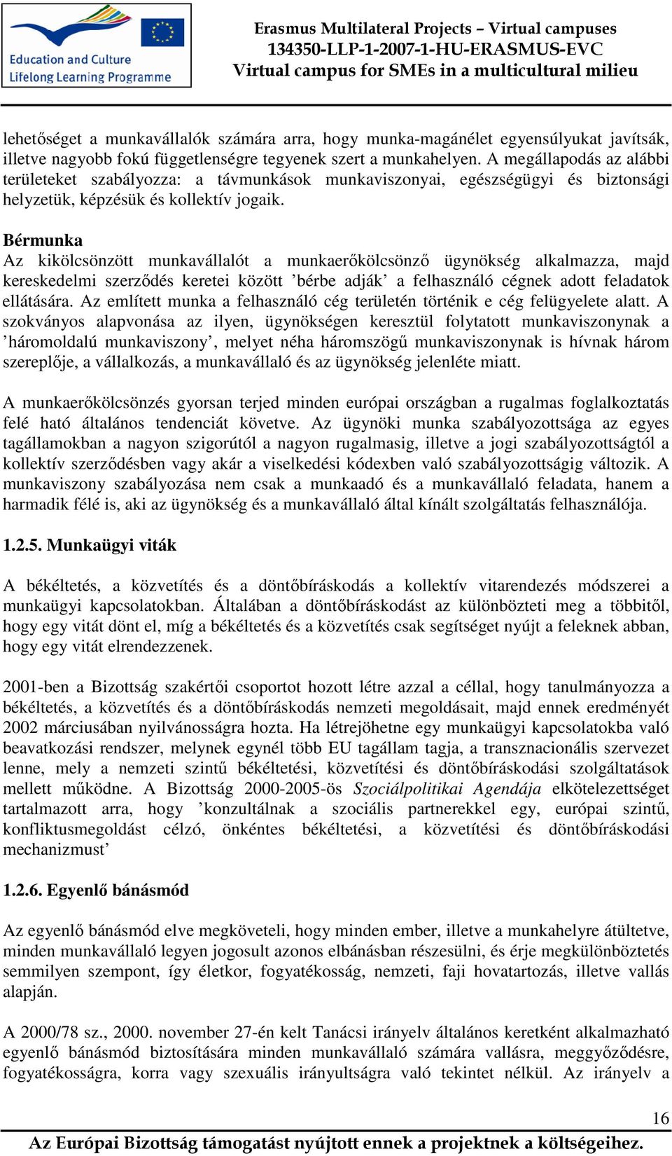 Bérmunka Az kikölcsönzött munkavállalót a munkaerőkölcsönző ügynökség alkalmazza, majd kereskedelmi szerződés keretei között bérbe adják a felhasználó cégnek adott feladatok ellátására.