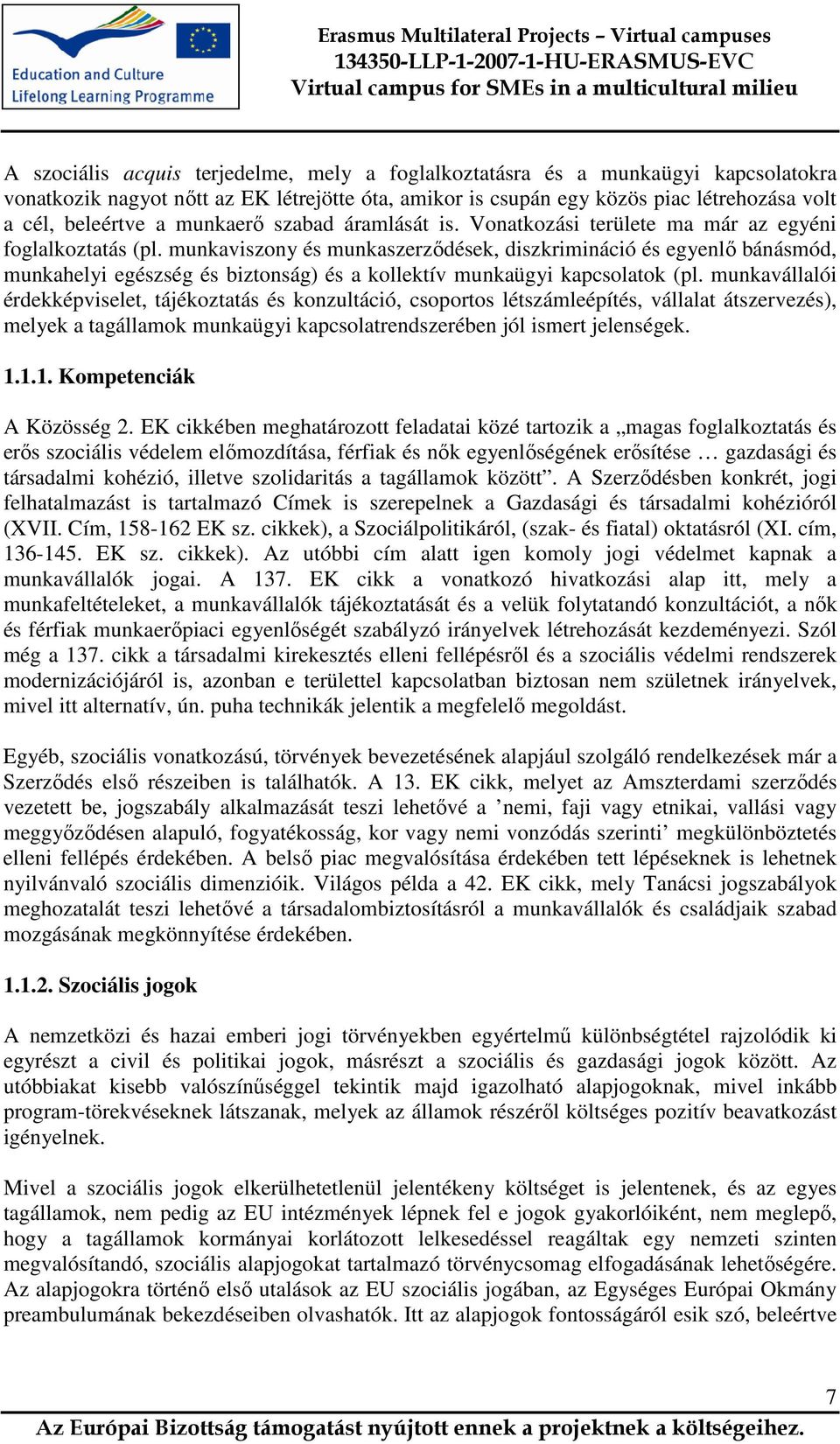 munkaviszony és munkaszerződések, diszkrimináció és egyenlő bánásmód, munkahelyi egészség és biztonság) és a kollektív munkaügyi kapcsolatok (pl.