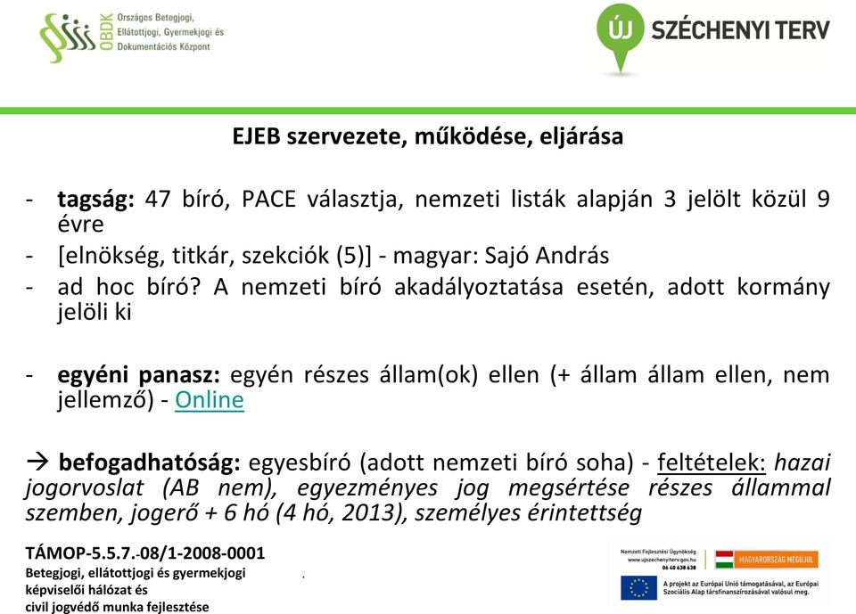 A nemzeti bíró akadályoztatása esetén, adott kormány jelöli ki - egyéni panasz: egyén részes állam(ok) ellen (+ állam állam ellen, nem