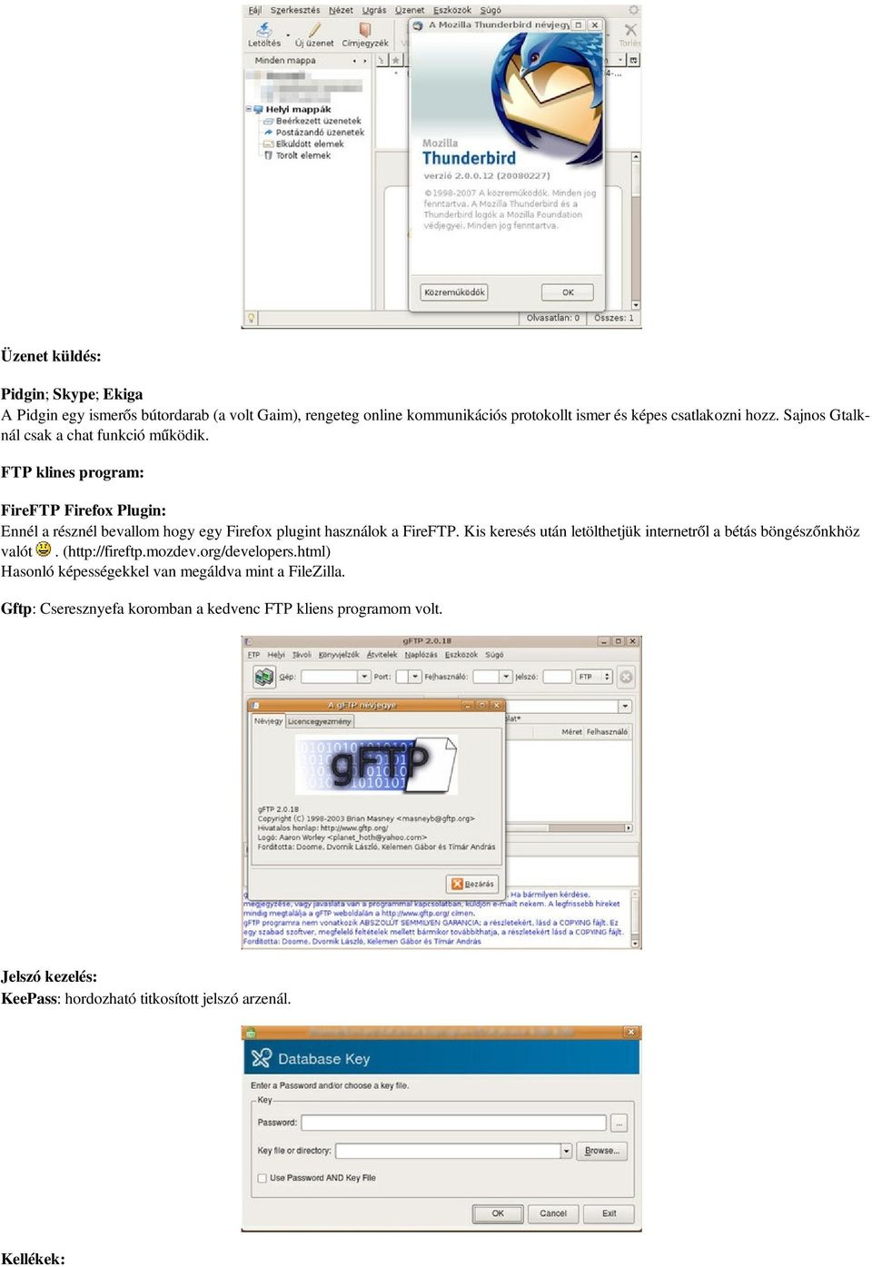 FTP klines program: FireFTP Firefox Plugin: Ennél a résznél bevallom hogy egy Firefox plugint használok a FireFTP.