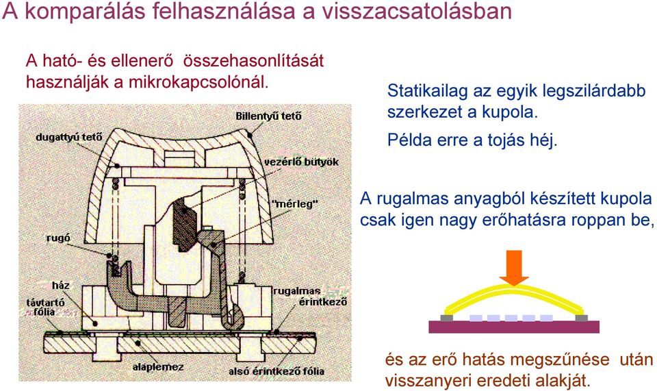 Statikailag az egyik legszilárdabb szerkezet a kupola. Példa erre a tojás héj.