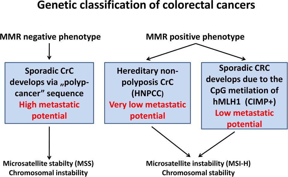 metastatic potential Sporadic CRC develops due to the CpG metilation of hmlh1 (CIMP+) Low metastatic