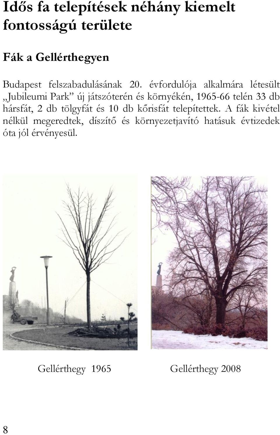 évfordulója alkalmára létesült Jubileumi Park új játszóterén és környékén, 1965-66 telén 33 db