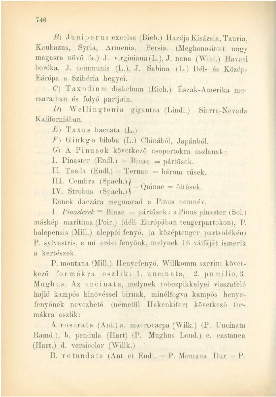 ') Taxus baccata (L.) F) (linkgo biloba (L.) Chinából, Japánból. G) A Pinusok következő csoportokra oszlanak: I. Pinaster (Endl.) = Binae = pártűsek. II. Taeda (Endl.) = Ternae = bárom tűsek. III.