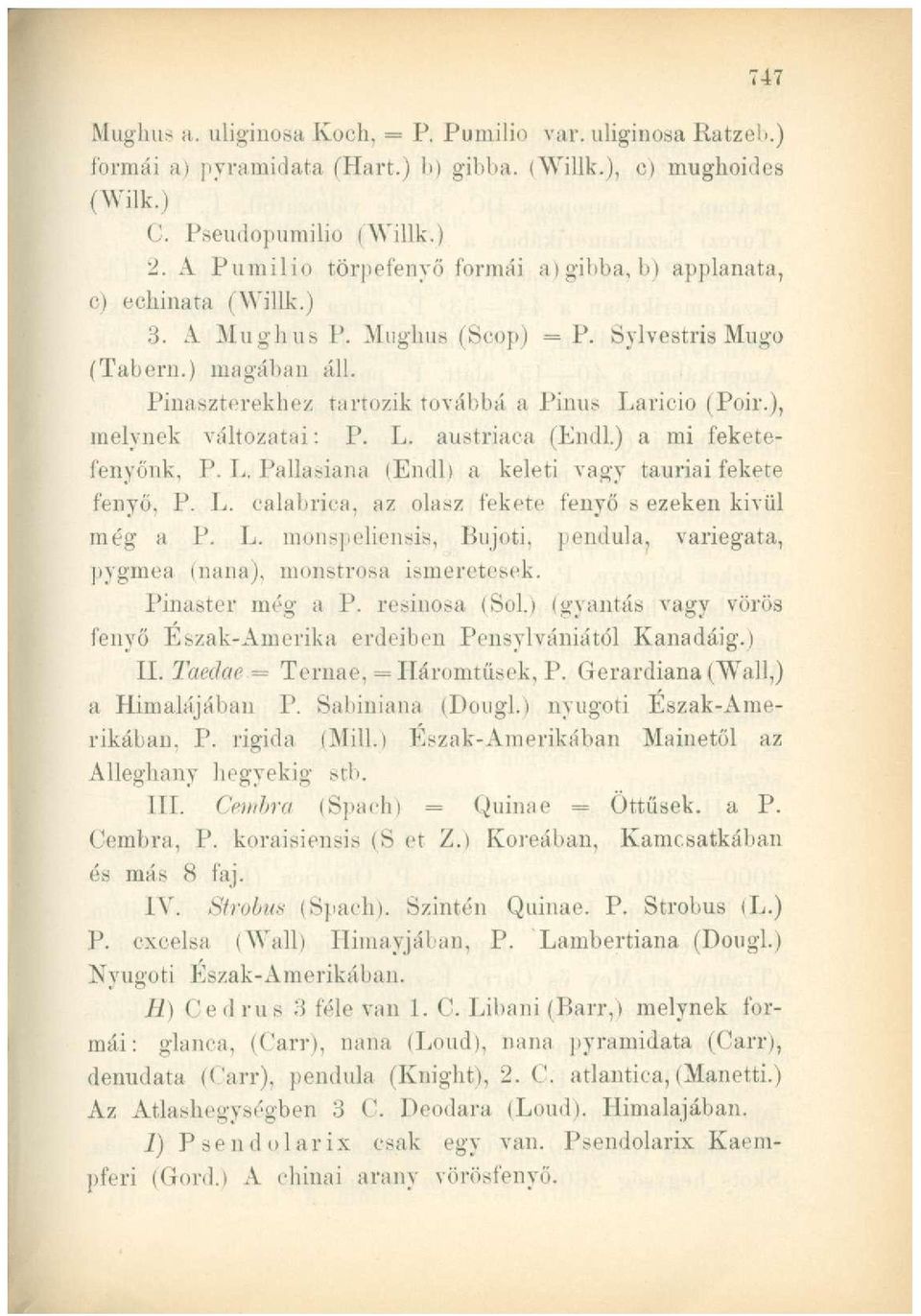 ), melynek változatai: P. L. austriaca (Endl.) a mi feketefenyőnk, P. L. Pallasiana (Endl) a keleti vagy tauriai fekete fenyő, P. L. calabrica, az olasz fekete fenyő s ezeken kivül még a P. L. monspeliensis, Bujoti, pendula.