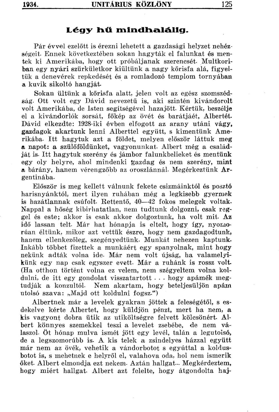 Múltkoriban egy nyári szürkületkor kiültünk a nagy kőrisfa alá, figyeltük a denevérek repkedését és a romladozó templom tornyában a kuvik sikoltó hangját.