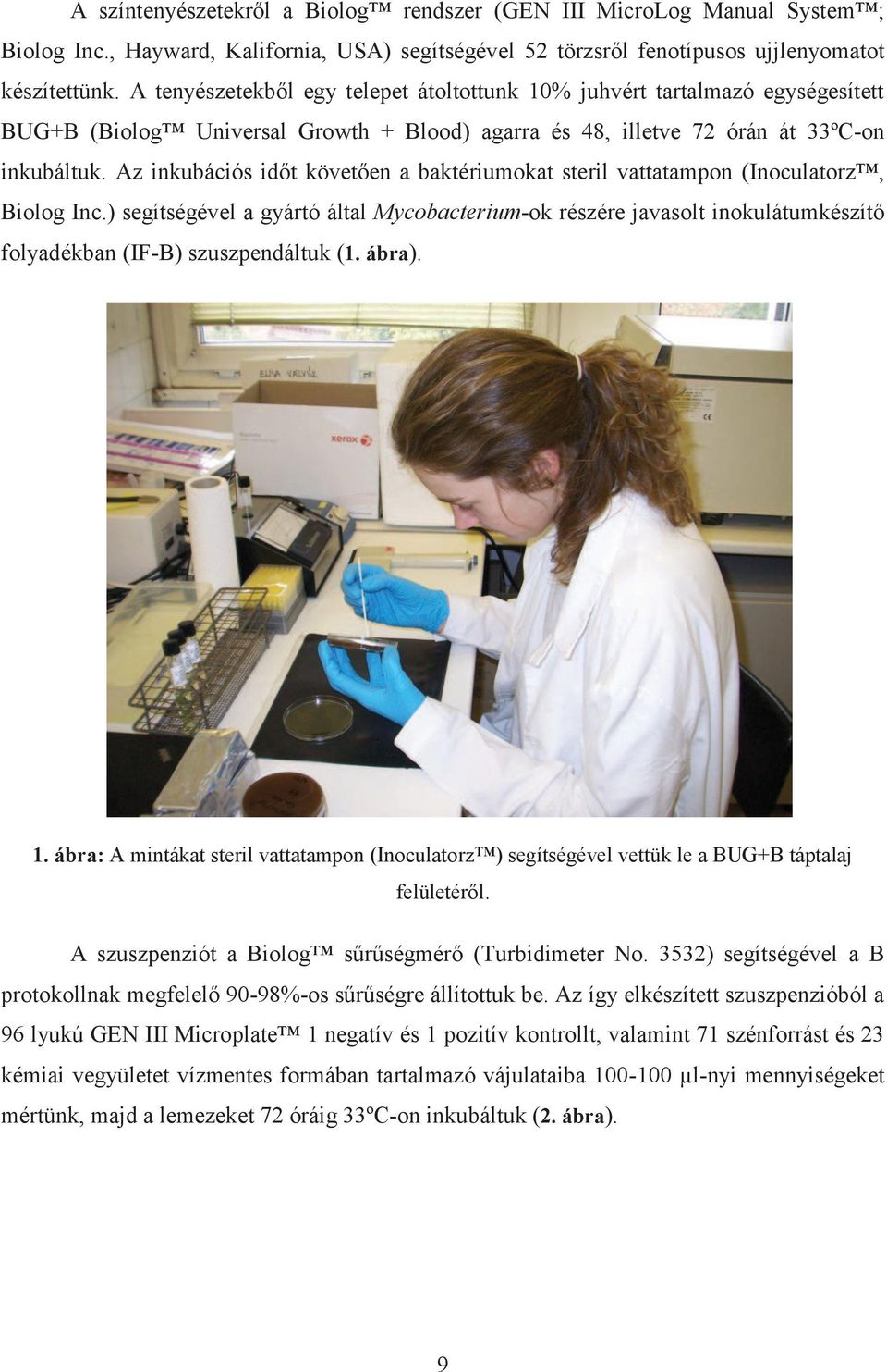 Az inkubációs időt követően a baktériumokat steril vattatampon (Inoculatorz, Biolog Inc.