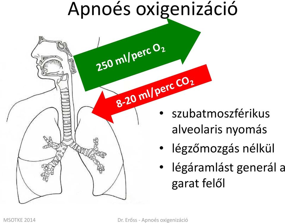 élkül légálágál g