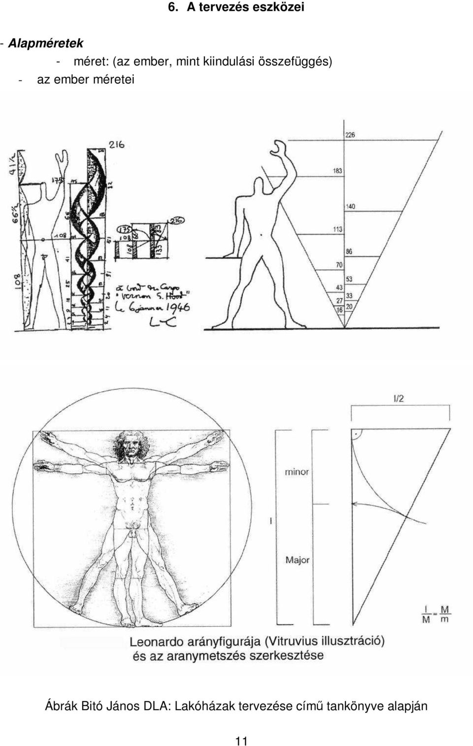 összefüggés) - az ember méretei Ábrák Bitó