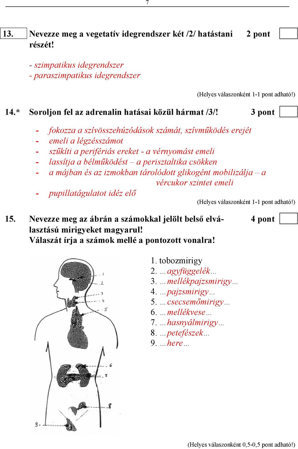 májban és az izmokban tárolódott glikogént mobilizálja a vércukor szintet emeli - pupillatágulatot idéz elı 15.