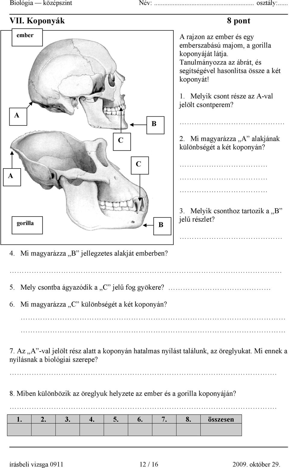 Mi magyarázza B jellegzetes alakját emberben? 5. Mely csontba ágyazódik a C jelű fog gyökere? 6. Mi magyarázza C különbségét a két koponyán? 7.