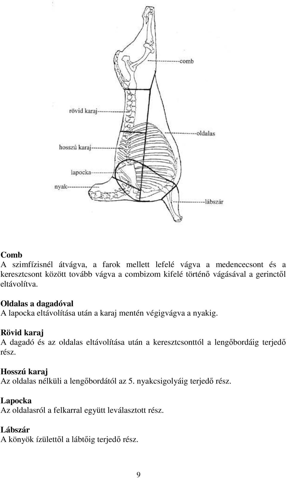 Rövid karaj A dagadó és az oldalas eltávolítása után a keresztcsonttól a lengőbordáig terjedő rész.