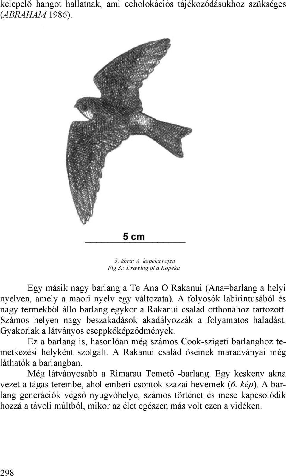 A folyosók labirintusából és nagy termekből álló barlang egykor a Rakanui család otthonához tartozott. Számos helyen nagy beszakadások akadályozzák a folyamatos haladást.