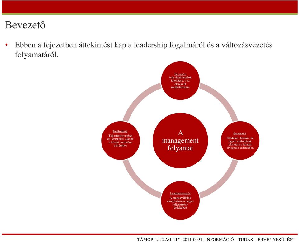 értékelés, akciók a kívánt eredmény eléréséhez A management folyamat Szervezés: feladatok, humán- ée egyéb