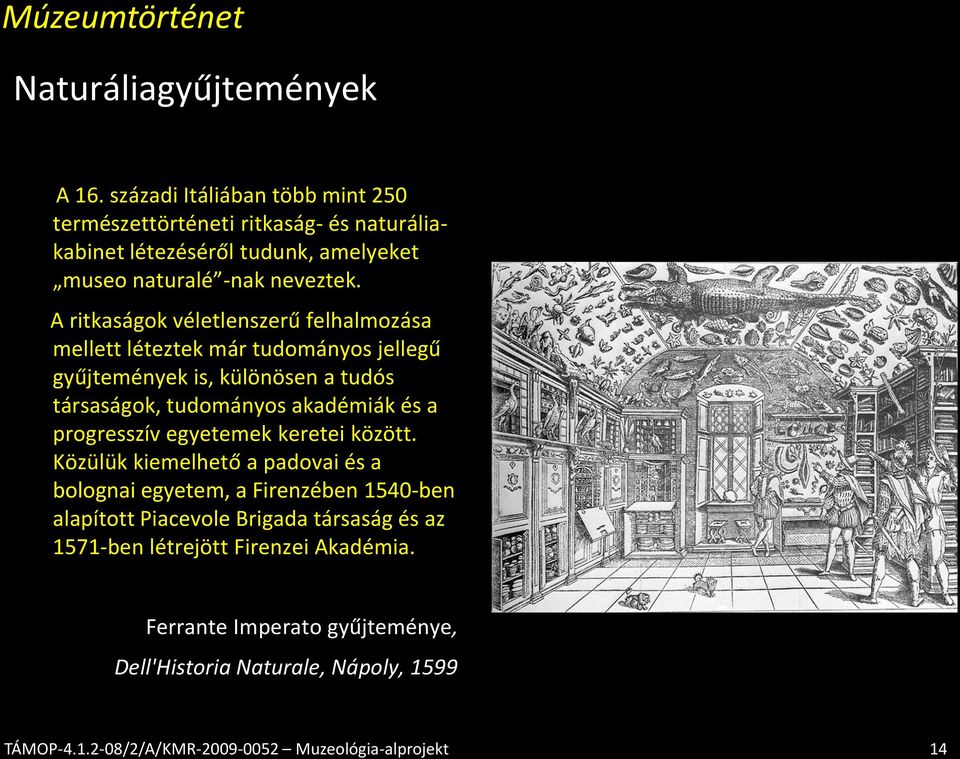 A ritkaságok véletlenszerű felhalmozása mellett léteztek már tudományos jellegű gyűjtemények is, különösen a tudós társaságok, tudományos