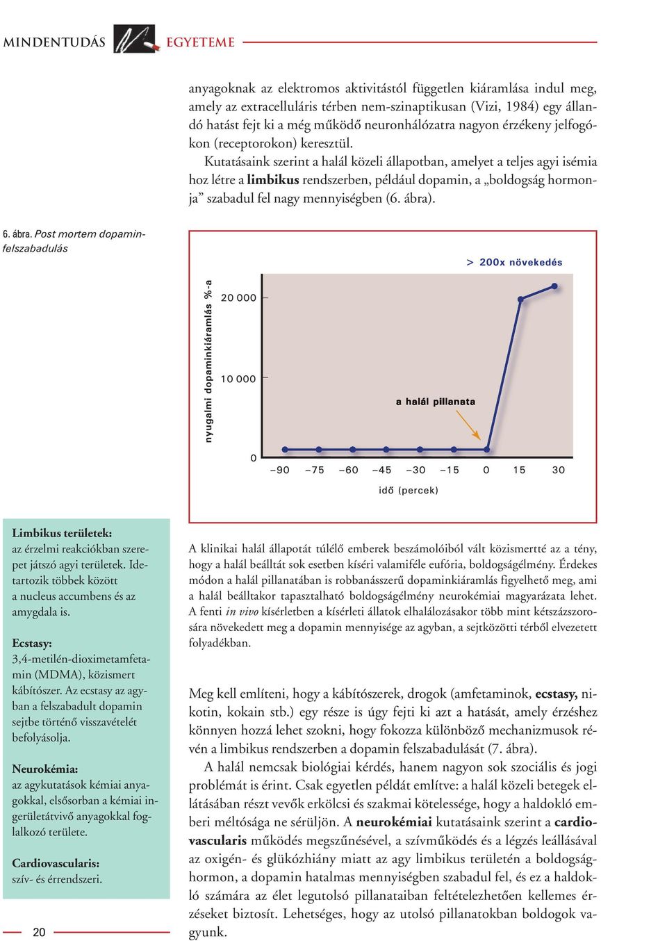 Kutatásaink szerint a halál közeli állapotban, amelyet a teljes agyi isémia hoz létre a limbikus rendszerben, például dopamin, a boldogság hormonja szabadul fel nagy mennyiségben (6. ábra)