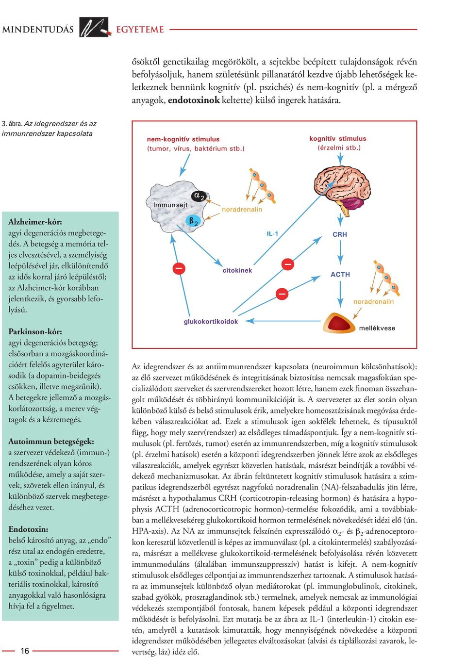 A betegség a memória teljes elvesztésével, a személyiség leépülésével jár, elkülönítendô az idôs korral járó leépüléstôl; az Alzheimer-kór korábban jelentkezik, és gyorsabb lefolyású.