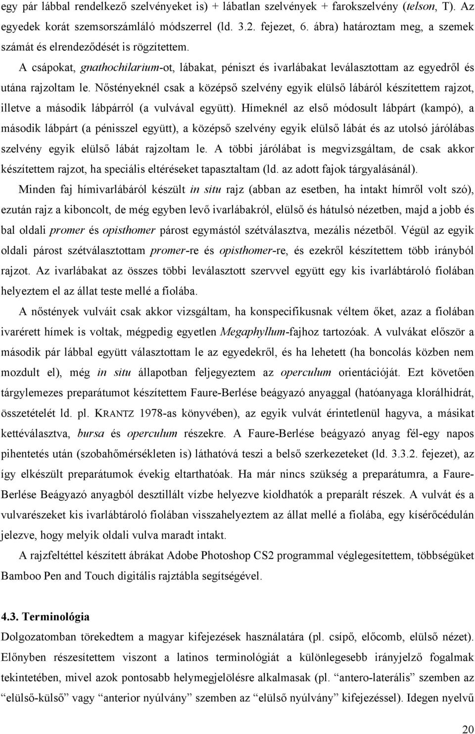 Nőstényeknél csak a középső szelvény egyik elülső lábáról készítettem rajzot, illetve a második lábpárról (a vulvával együtt).