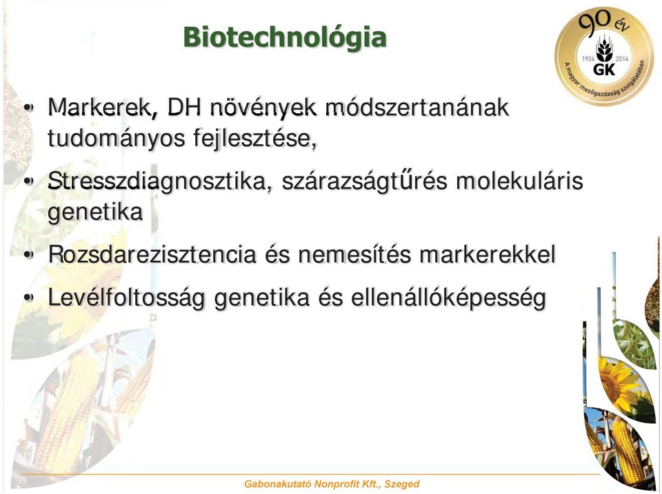 szárazságtűrés molekuláris genetika Rozsdarezisztencia