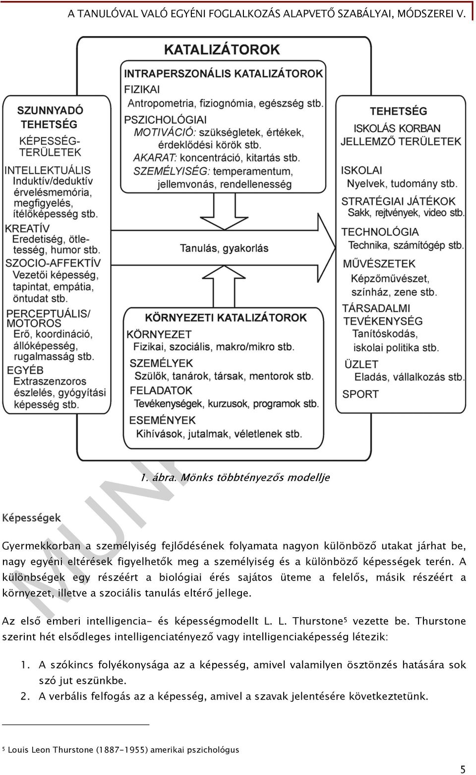 terén. A különbségek egy részéért a biológiai érés sajátos üteme a felelős, másik részéért a környezet, illetve a szociális tanulás eltérő jellege.