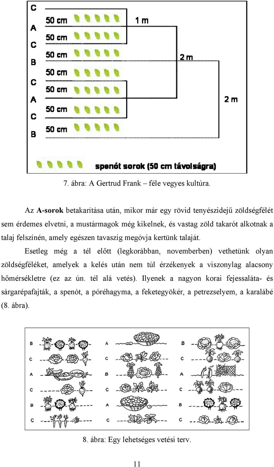 a talaj felszínén, amely egészen tavaszig megóvja kertünk talaját.