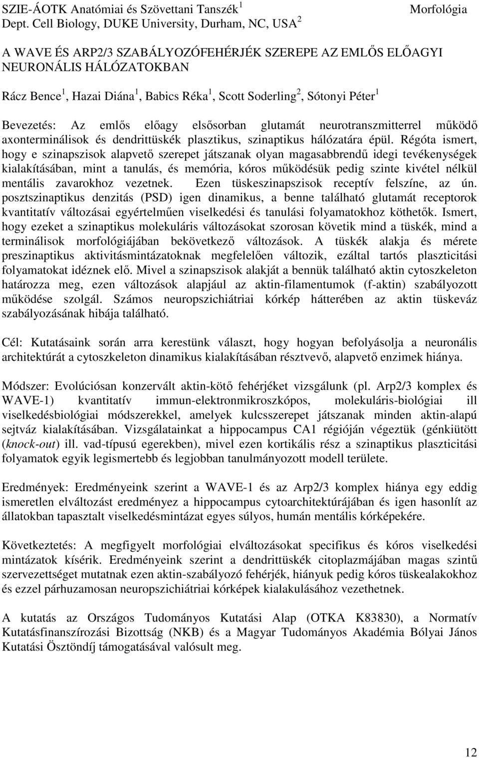 Soderling 2, Sótonyi Péter 1 Bevezetés: Az emlős előagy elsősorban glutamát neurotranszmitterrel működő axonterminálisok és dendrittüskék plasztikus, szinaptikus hálózatára épül.