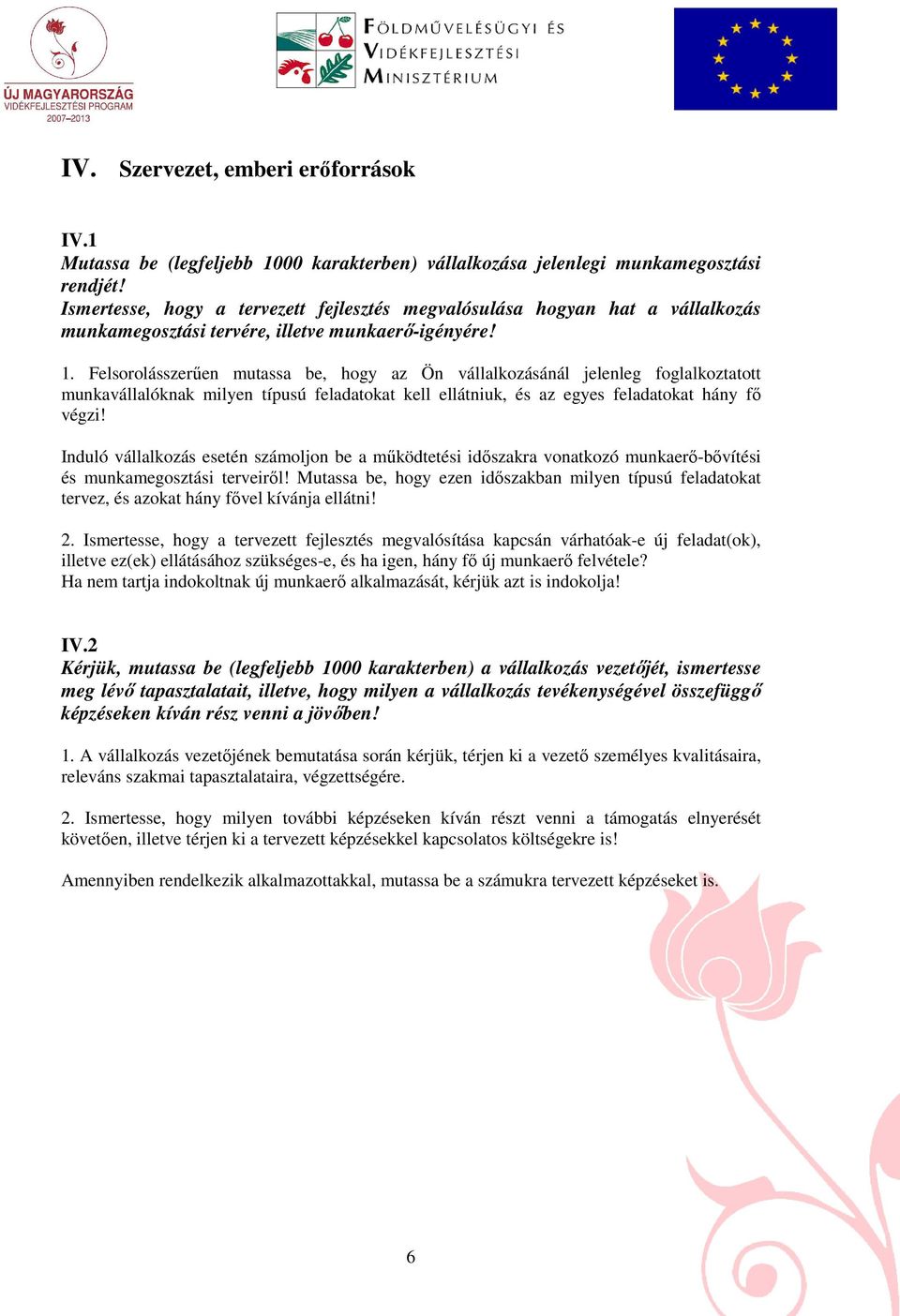 Felsorolásszerően mutassa be, hogy az Ön vállalkozásánál jelenleg foglalkoztatott munkavállalóknak milyen típusú feladatokat kell ellátniuk, és az egyes feladatokat hány fı végzi!