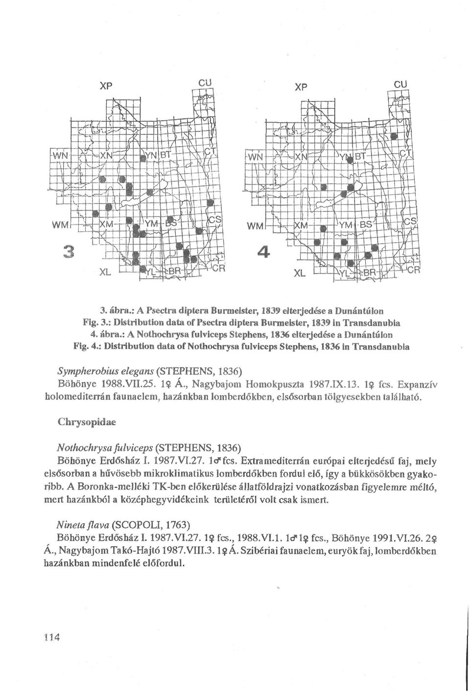 Expanzív holomediterrán faunaelem, hazánkban lomberdőkben, elsősorban tölgyesekben található. Chrysopidae Nothochrysa fulviceps (STEPHENS, 1836) Böhönye Erdősház I. 1987.VI.27. lcffcs.