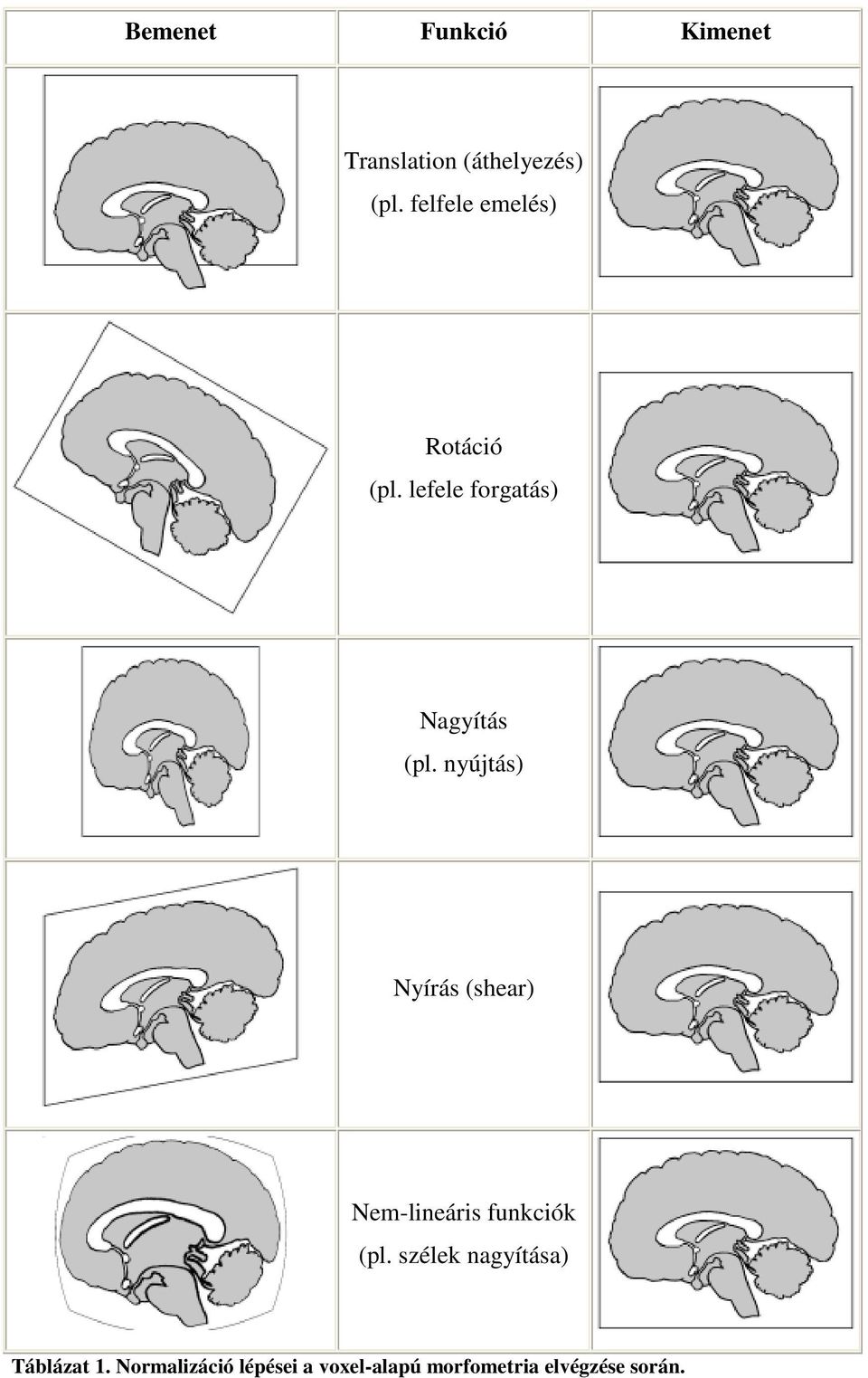 nyújtás) Nyírás (shear) Nem-lineáris funkciók (pl.