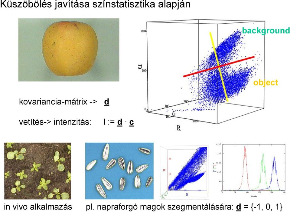 vetítés-> intenzitás: d I := d c in vivo