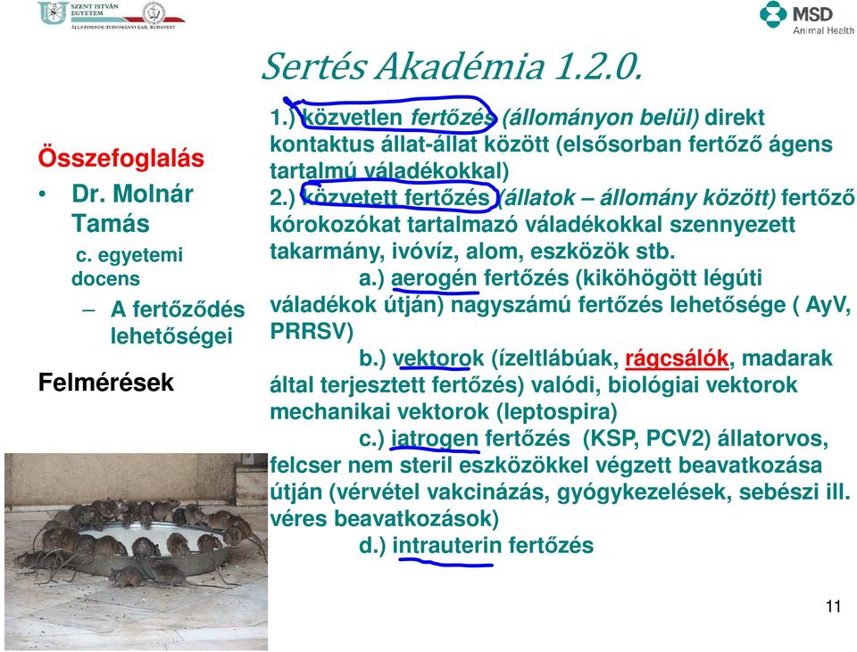 ) közvetett fertőzés (állatok állomány között) fertőző kórokozókat tartalmazó váladékokkal szennyezett takarmány, ivóvíz, al