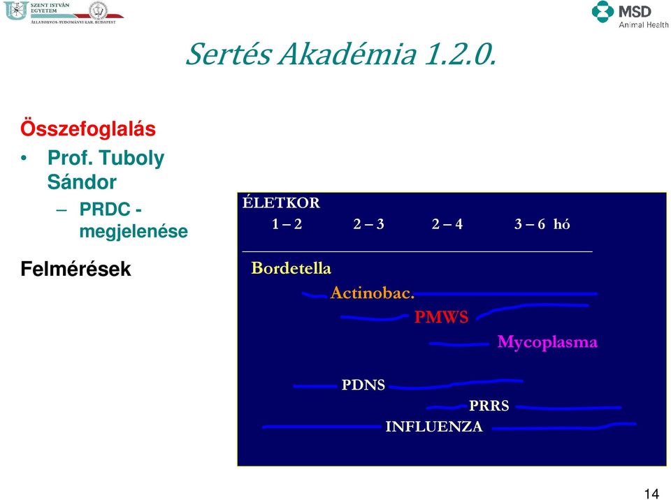 3 6 hó Bordetella Actinobac.