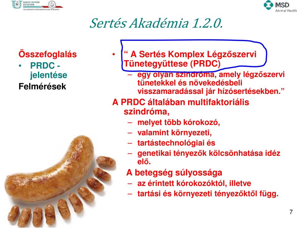 A PRDC általában multifaktoriális szindróma, melyet több kórokozó, valamint környezeti,