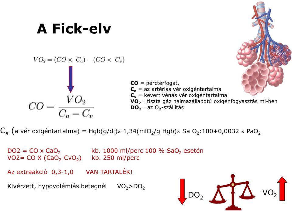 1,34(mlO 2 /g Hgb) Sa O 2 :100+0,0032 PaO 2 DO2 = CO x CaO 2 kb.