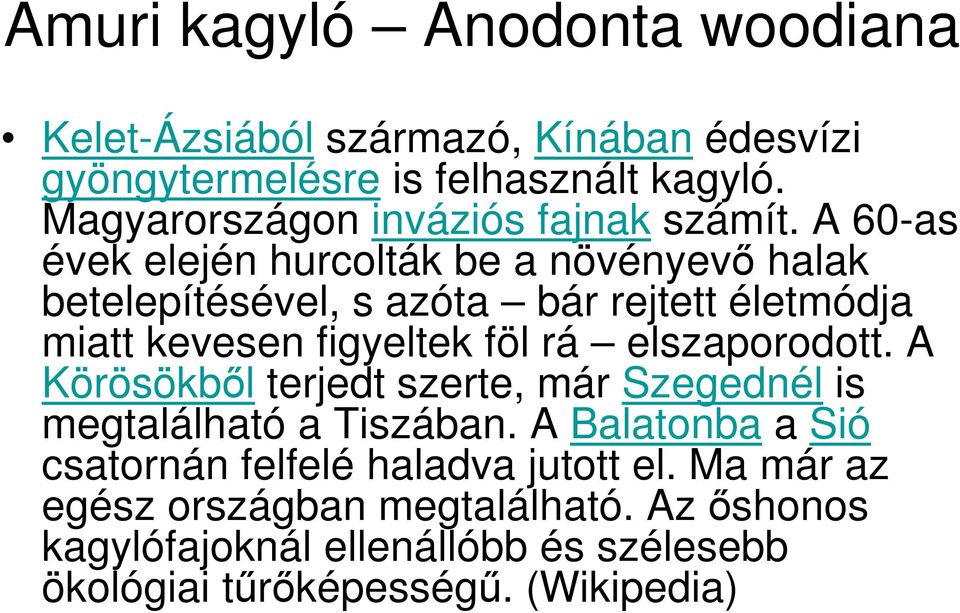 A 60-as évek elején hurcolták be a növényevı halak betelepítésével, s azóta bár rejtett életmódja miatt kevesen figyeltek föl rá