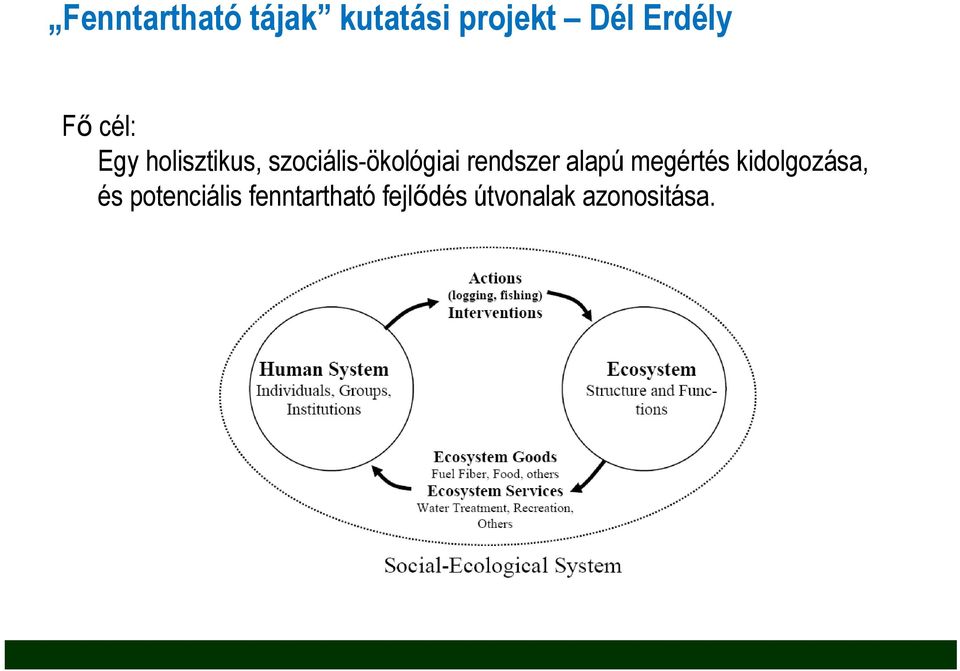 rendszer alapú megértés kidolgozása, és