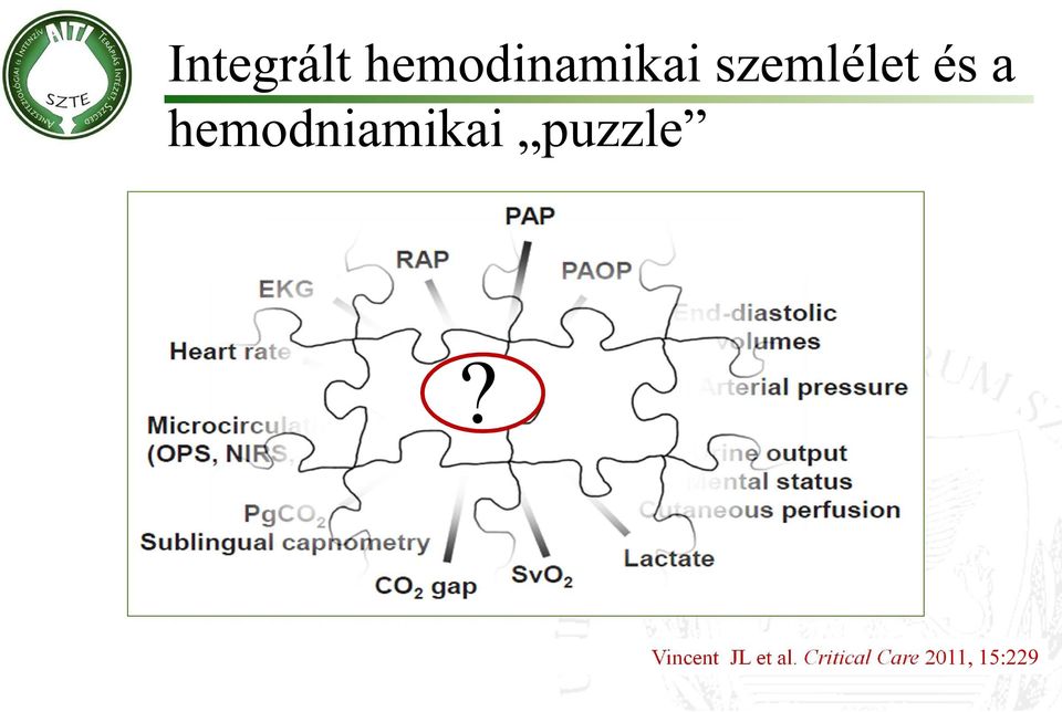 hemodniamikai puzzle?