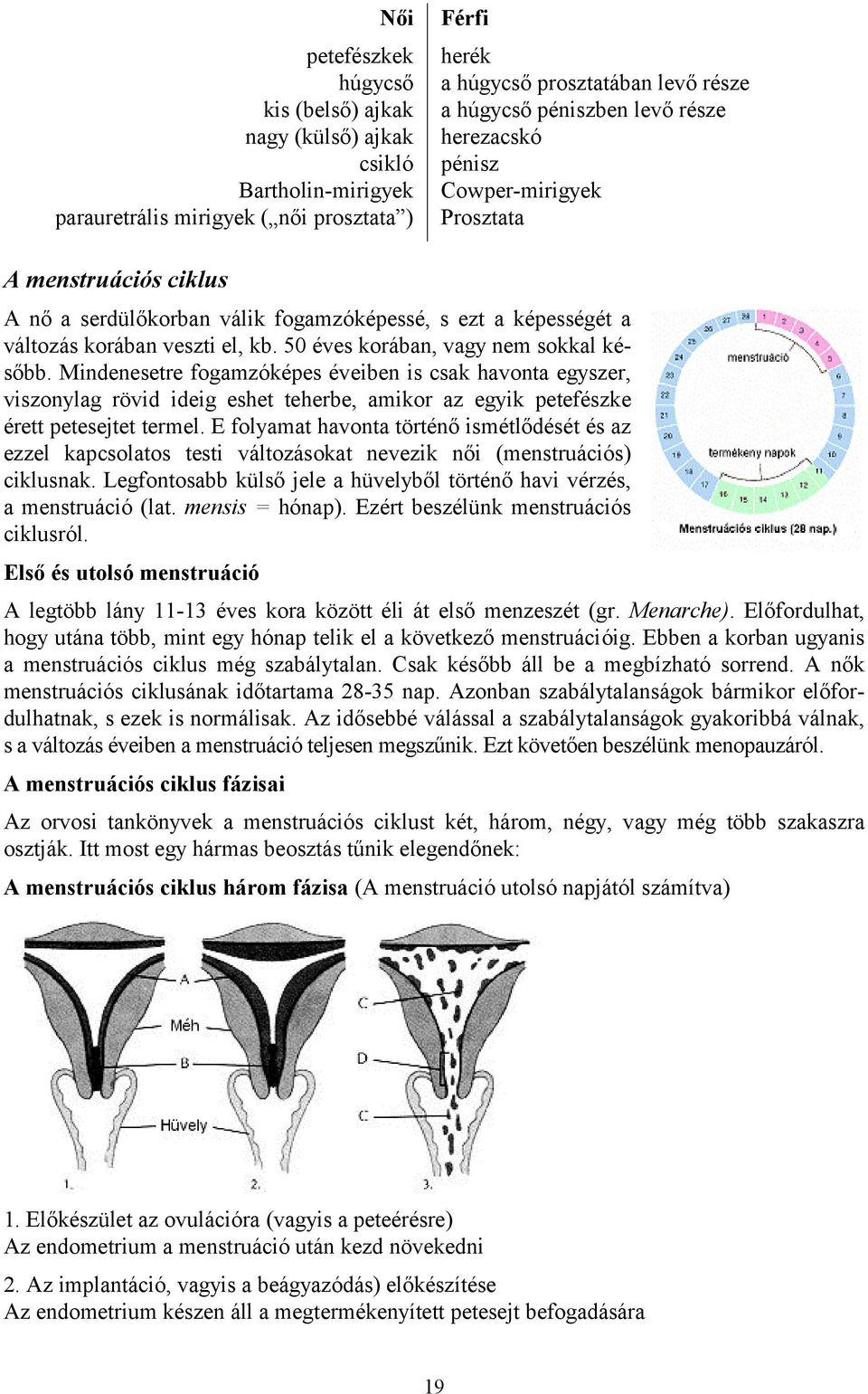 50 éves korában, vagy nem sokkal később. Mindenesetre fogamzóképes éveiben is csak havonta egyszer, viszonylag rövid ideig eshet teherbe, amikor az egyik petefészke érett petesejtet termel.