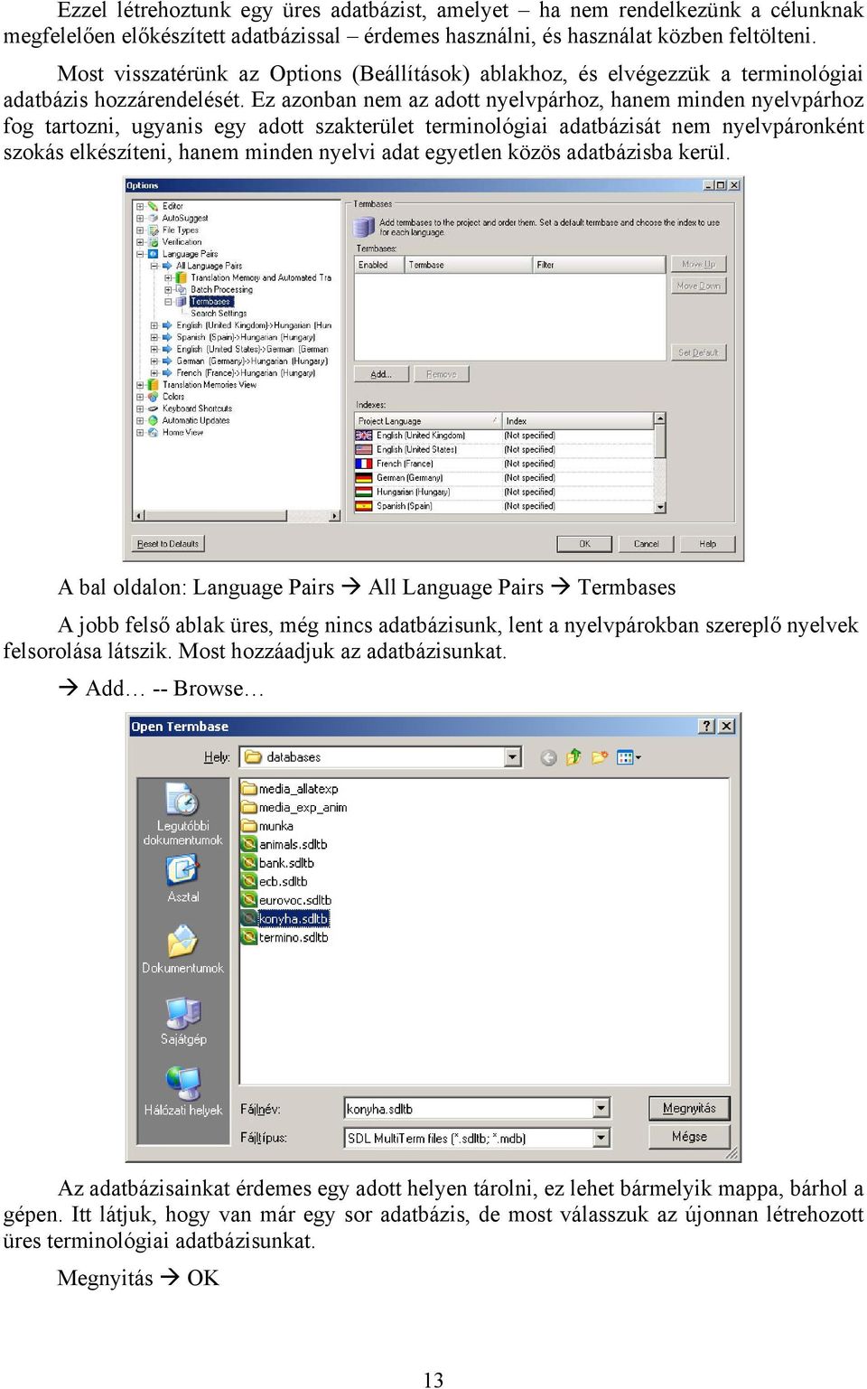 Ez azonban nem az adott nyelvpárhoz, hanem minden nyelvpárhoz fog tartozni, ugyanis egy adott szakterület terminológiai adatbázisát nem nyelvpáronként szokás elkészíteni, hanem minden nyelvi adat