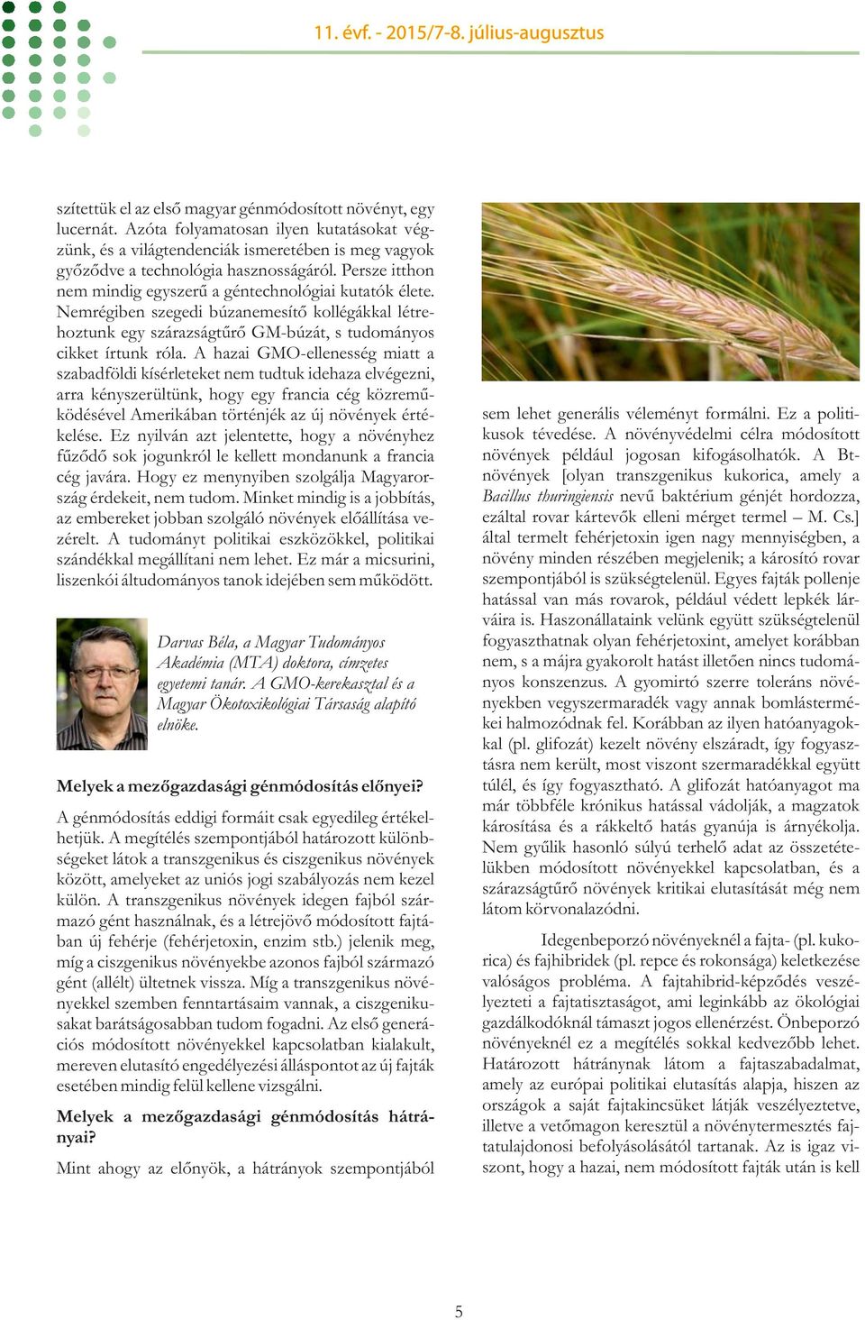 A hazai GMO-ellenesség miatt a szabadföldi kísérleteket nem tudtuk idehaza elvégezni, arra kényszerültünk, hogy egy francia cég közreműködésével Amerikában történjék az új növények értékelése.