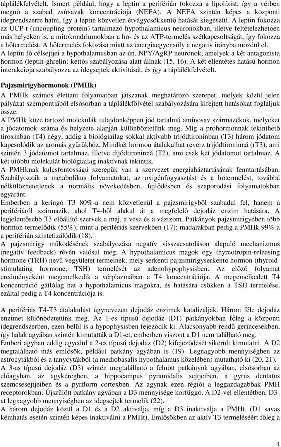 A leptin fokozza az UCP-t (uncoupling protein) tartalmazó hypothalamicus neuronokban, illetve feltételezhetıen más helyeken is, a mitokondriumokban a hı- és az ATP-termelés szétkapcsoltságát, így