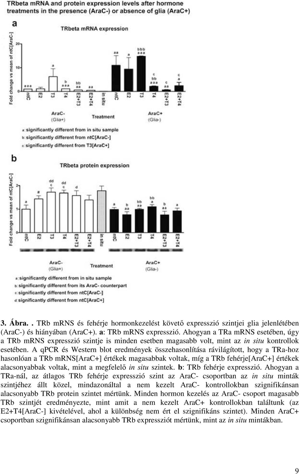 A qpcr és Western blot eredmények összehasonlítása rávilágított, hogy a TRa-hoz hasonlóan a TRb mrns[arac+] értékek magasabbak voltak, míg a TRb fehérje[arac+] értékek alacsonyabbak voltak, mint a