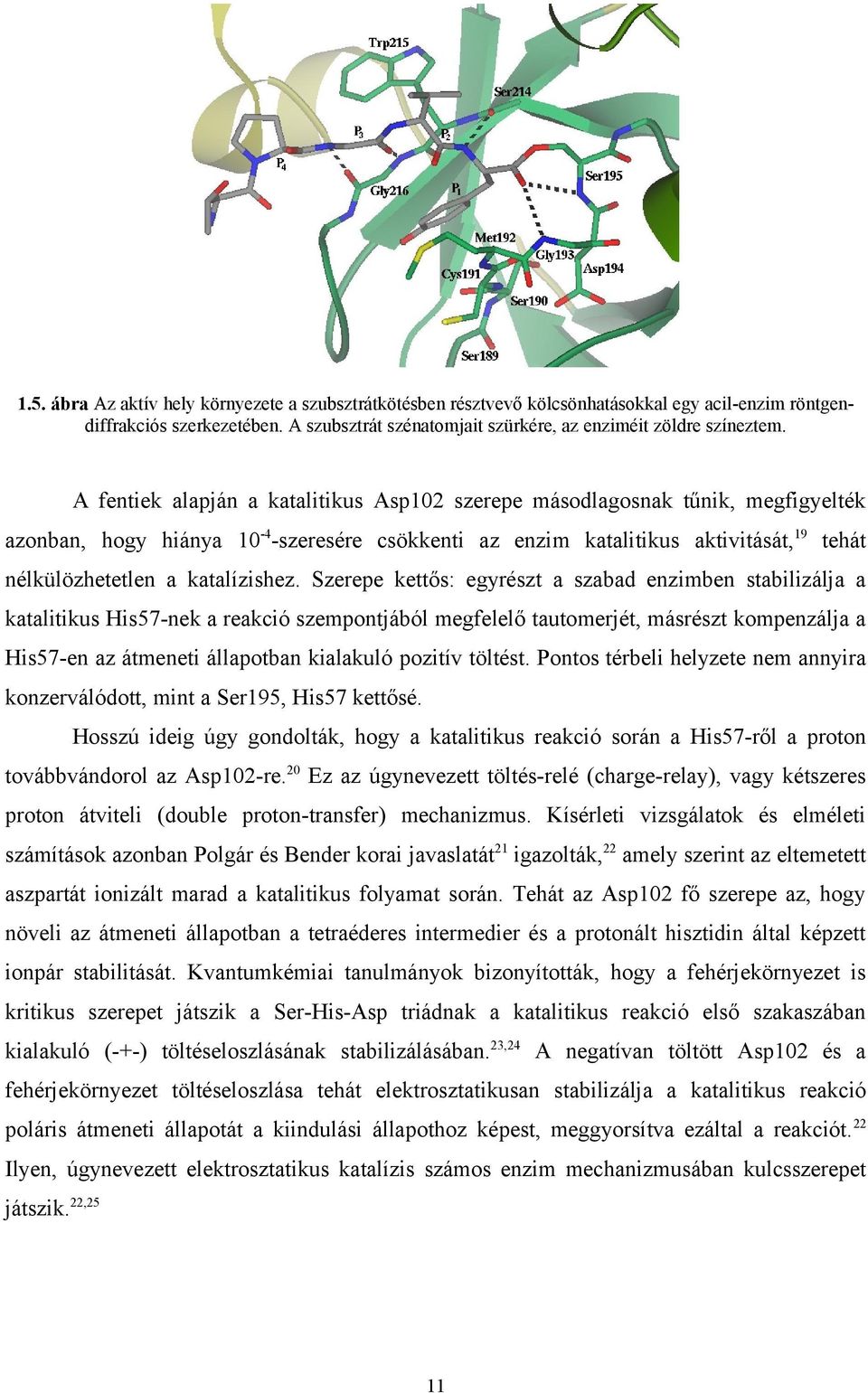 Szerepe kettős: egyrészt a szabad enzimben stabilizálja a katalitikus His57-nek a reakció szempontjából megfelelő tautomerjét, másrészt kompenzálja a His57-en az átmeneti állapotban kialakuló pozitív